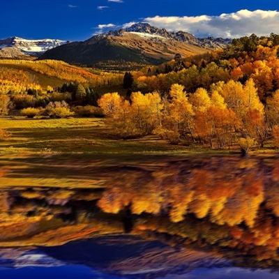 LOL外围官网下载手机版