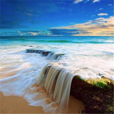 bob·体育综合app手机app下载