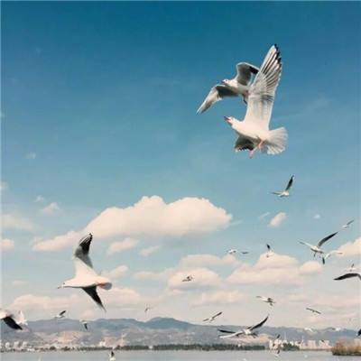 亿博app官网首页